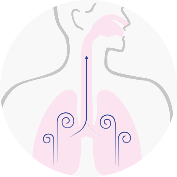 11 Aerosol - Basse vie respiratorie